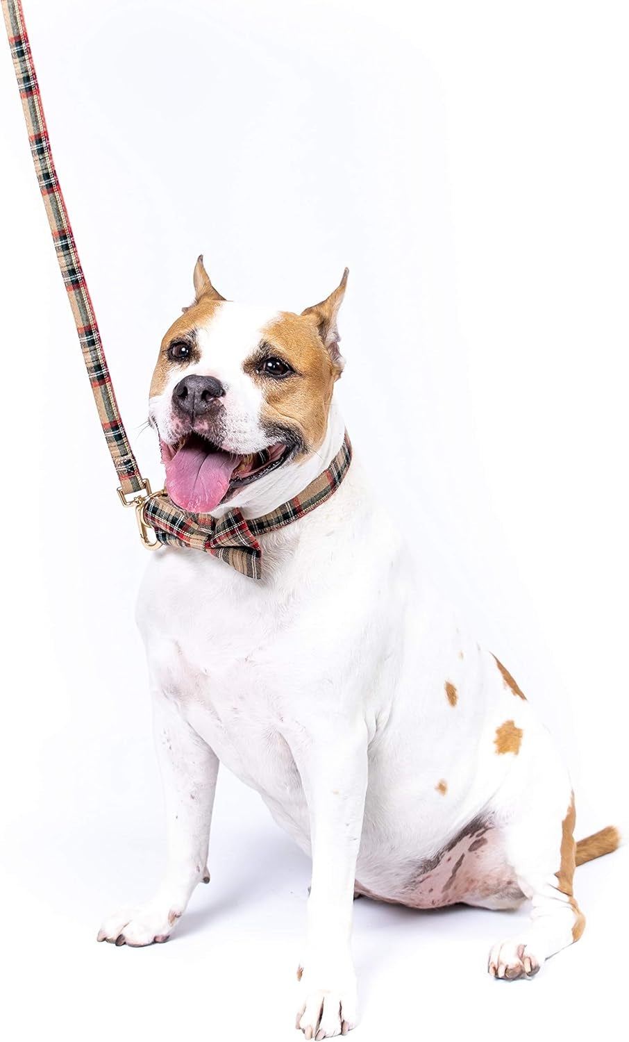 Scottish Tartan Dog Collar and Leash Set with Removable Bow Tie, Adjustable Plaid Design for Dogs, Ideal Pet Gift (XS, Beige)