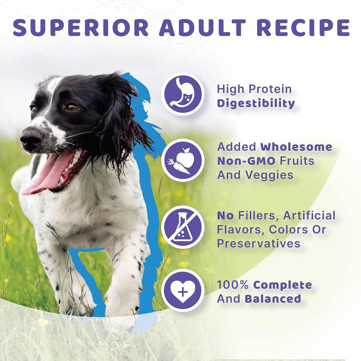 Grain-Free Surf & Turf Adult Dry Dog Food, 4-Pound Bag
