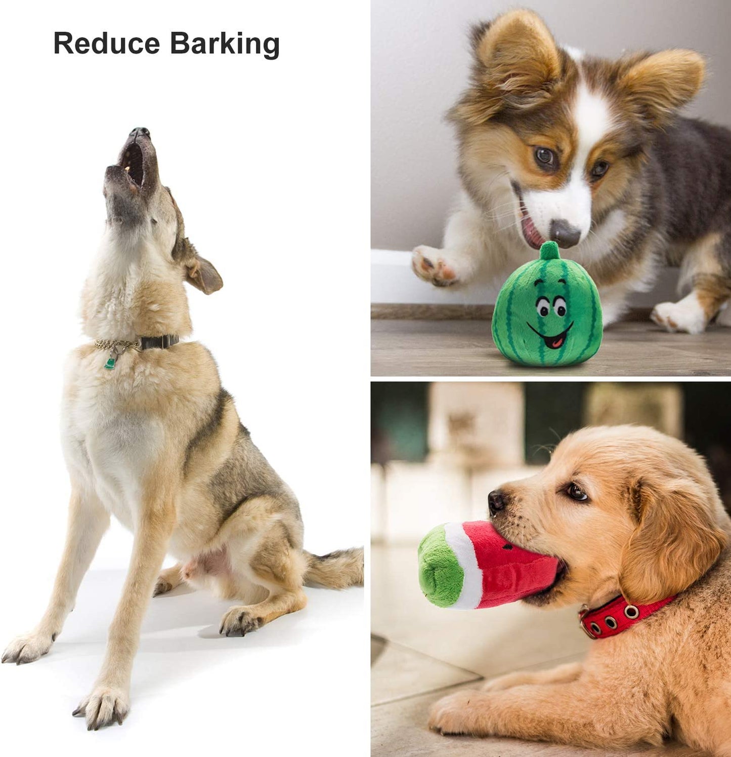 Plush Squeaky Dog Toy Set for Small to Medium Breeds - 12 Pieces with Carrying Bag