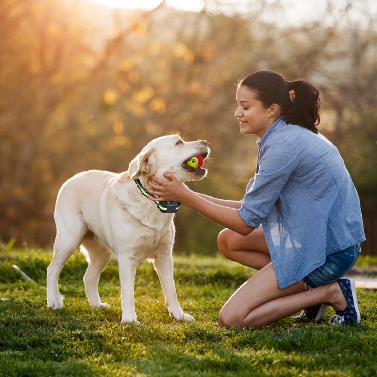 Rechargeable Waterproof Dog Bark Collar with Automatic Identification and Dual Mode Stimulation (Beep, Vibration, Static) - 6 Intensity Levels