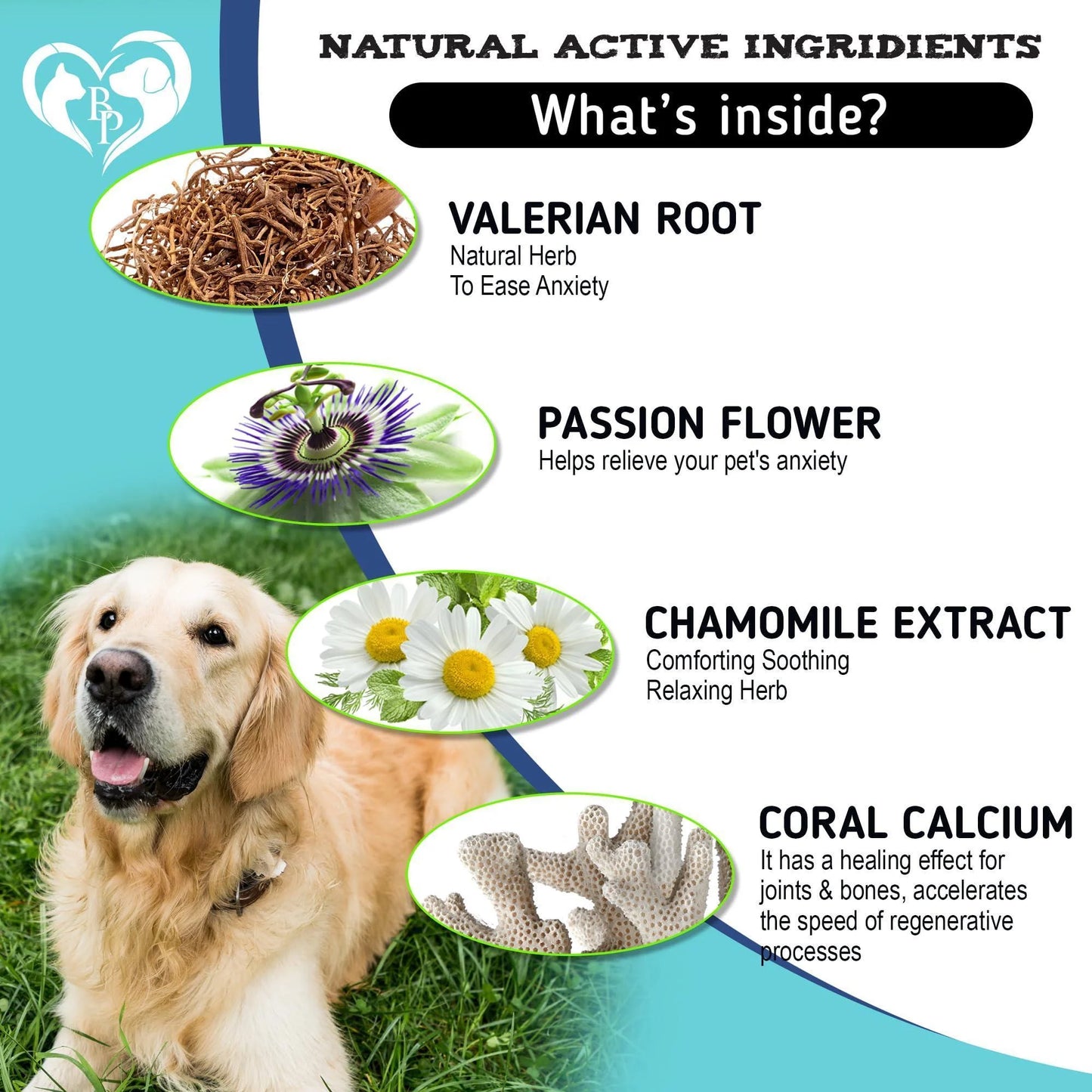 Hemp-Infused Calming Chews for Dogs - Effective Relief for Puppy Separation Anxiety