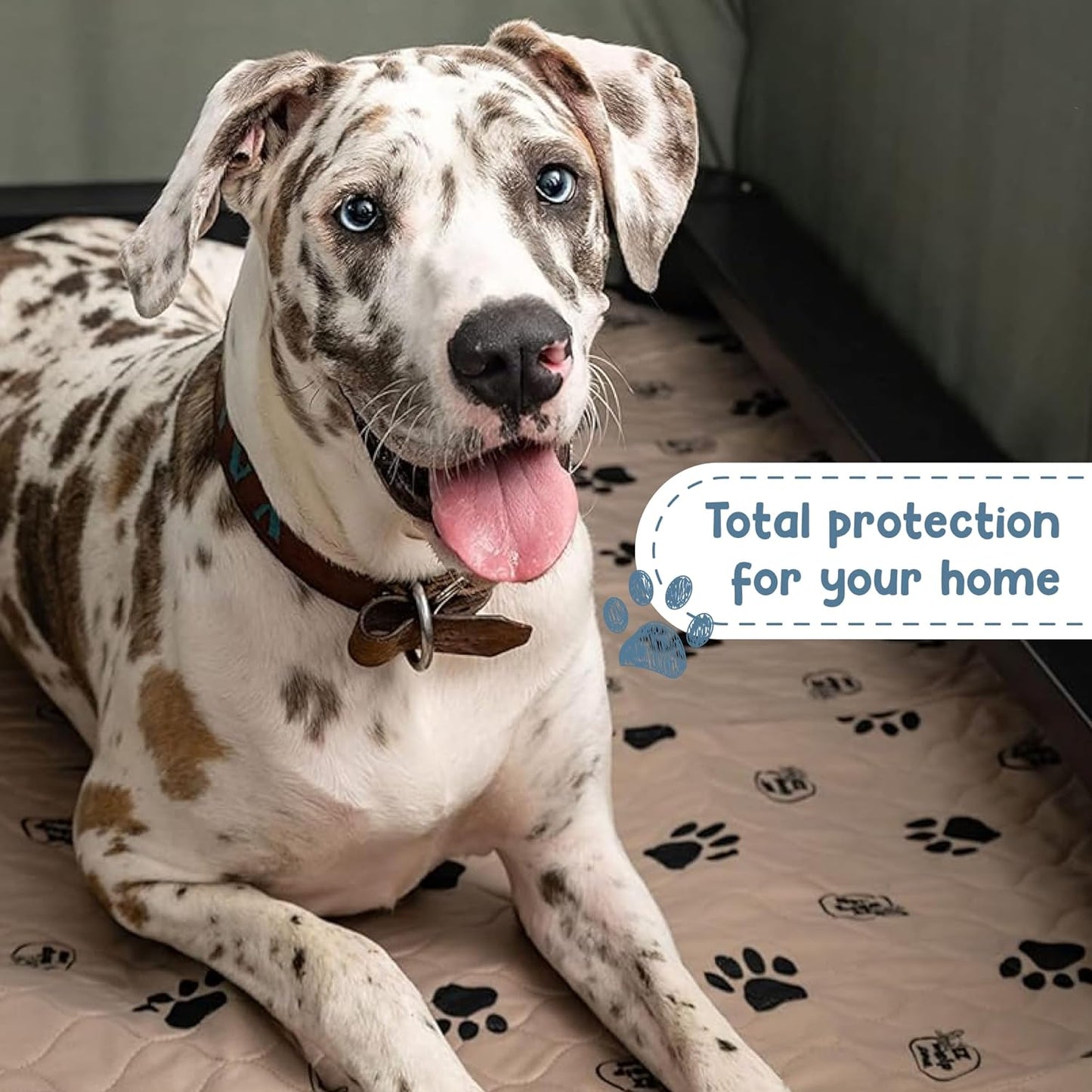 Reusable Dog Training Pads, Washable Waterproof Mats for Potty Training and Whelping, Rounded Corners, 16.5 x 19.5 Inches, Set of 2