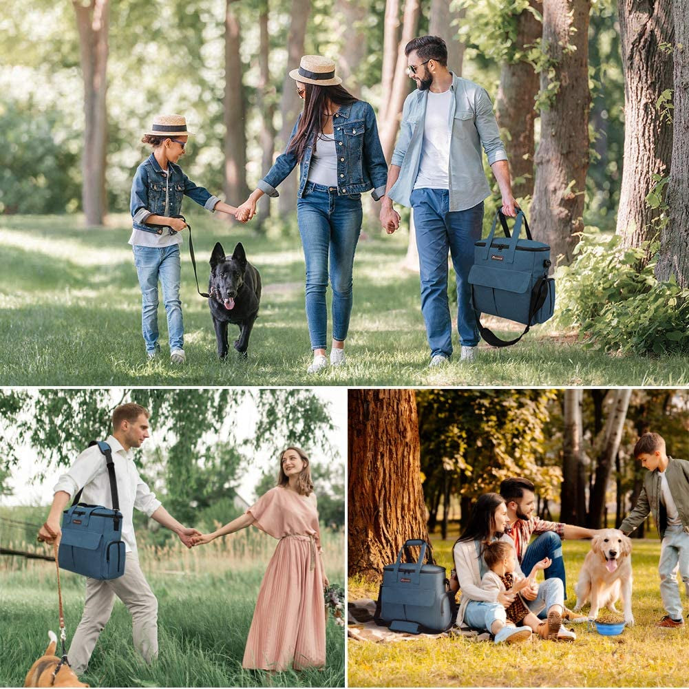 Premium Dog Travel Bag - Weekend Pet Travel Set for Dogs and Cats, Airline-Approved Tote with Multi-Function Pockets, 2 Food Storage Containers, 2 Collapsible Bowls, and 1 Feeding Mat (Blue)