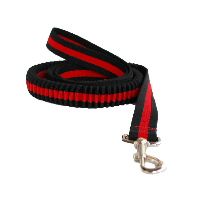 Adjustable Grip Flexible Leash for Small to Medium Dogs