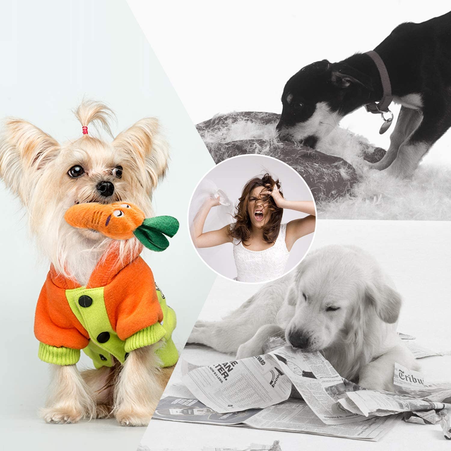Plush Squeaky Dog Toy Set for Small to Medium Breeds - 12 Pieces with Carrying Bag