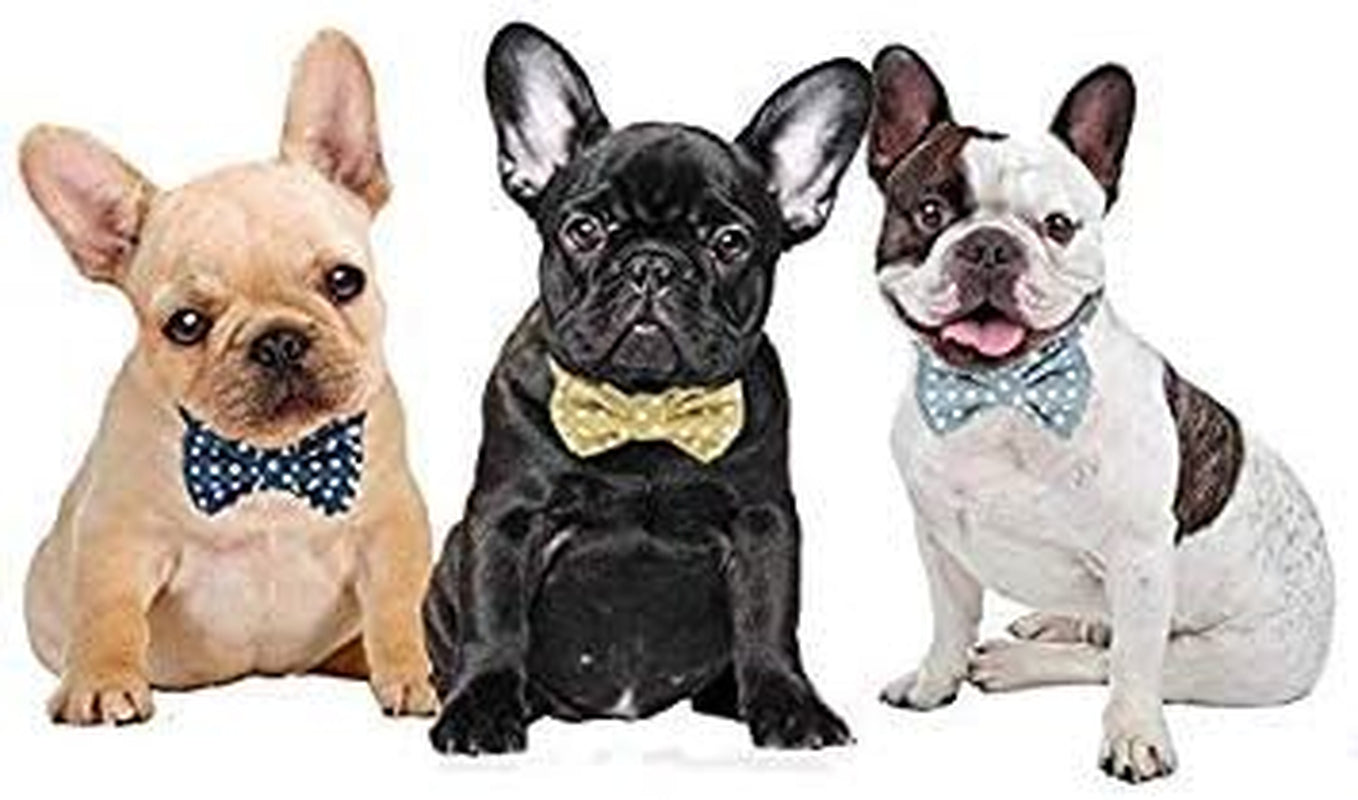 Kebs Kebocis Adjustable Dog Bow Tie Collar with Detachable Bowtie in Light Blue Polka Dots for Medium-Sized Dogs