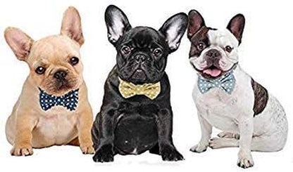 Kebs Kebocis Adjustable Dog Bow Tie Collar with Detachable Bowtie in Light Blue Polka Dots for Medium-Sized Dogs