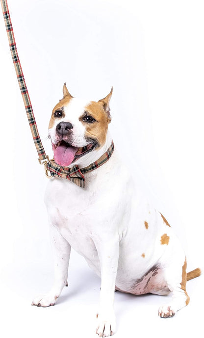 Scottish Tartan Dog Collar and Leash Set with Removable Bow Tie, Adjustable Plaid Design for Dogs, Ideal Pet Gift (XS, Beige)