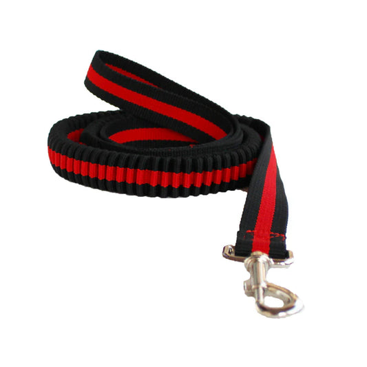 Adjustable Grip Flexible Leash for Small to Medium Dogs