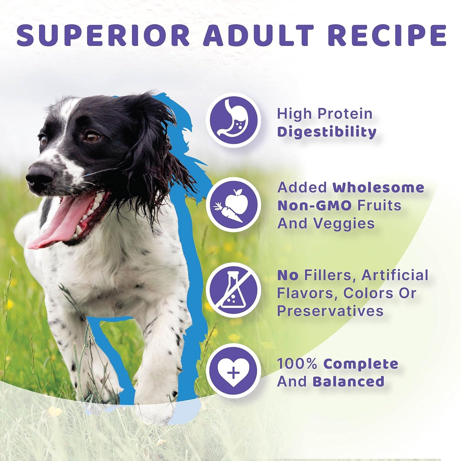 Grain-Free Surf & Turf Adult Dry Dog Food, 4-Pound Bag