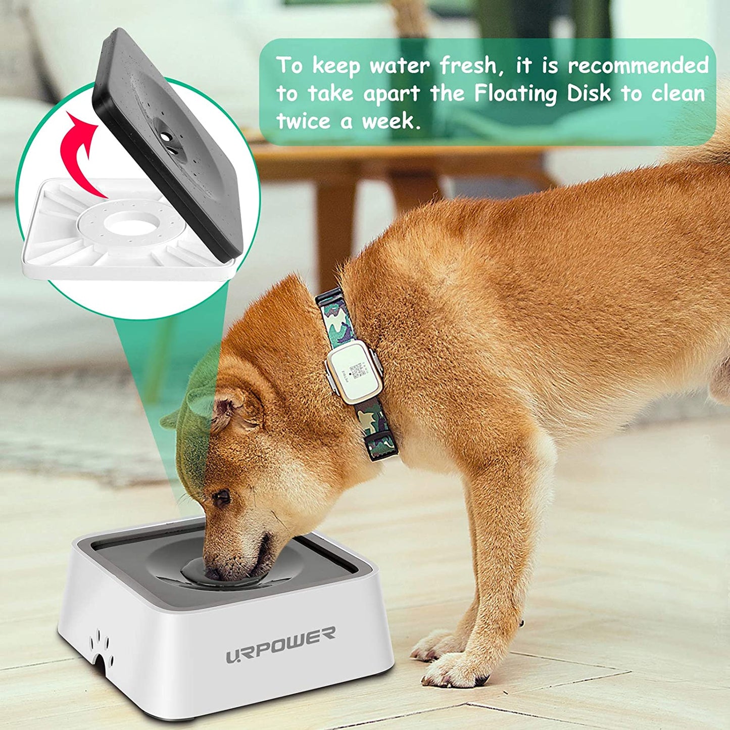 2.5L Large Capacity Spill-Proof Dog Water Bowl - Optimal Pet Water Dispenser for Travel and Slow Feeding Solutions