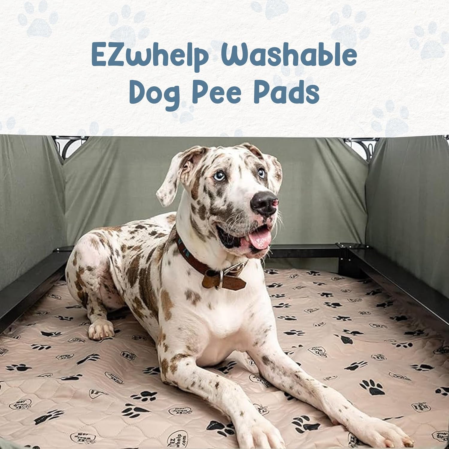 Reusable Dog Training Pads, Washable Waterproof Mats for Potty Training and Whelping, Rounded Corners, 16.5 x 19.5 Inches, Set of 2