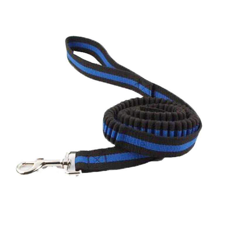 Adjustable Grip Flexible Leash for Small to Medium Dogs