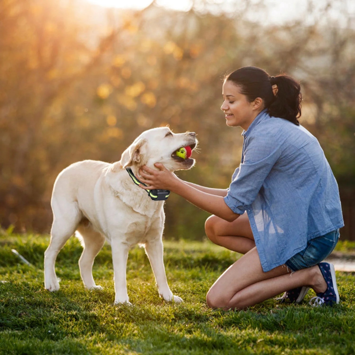 Rechargeable Waterproof Dog Bark Collar with Automatic Identification and Dual Mode Stimulation (Beep, Vibration, Static) - 6 Intensity Levels