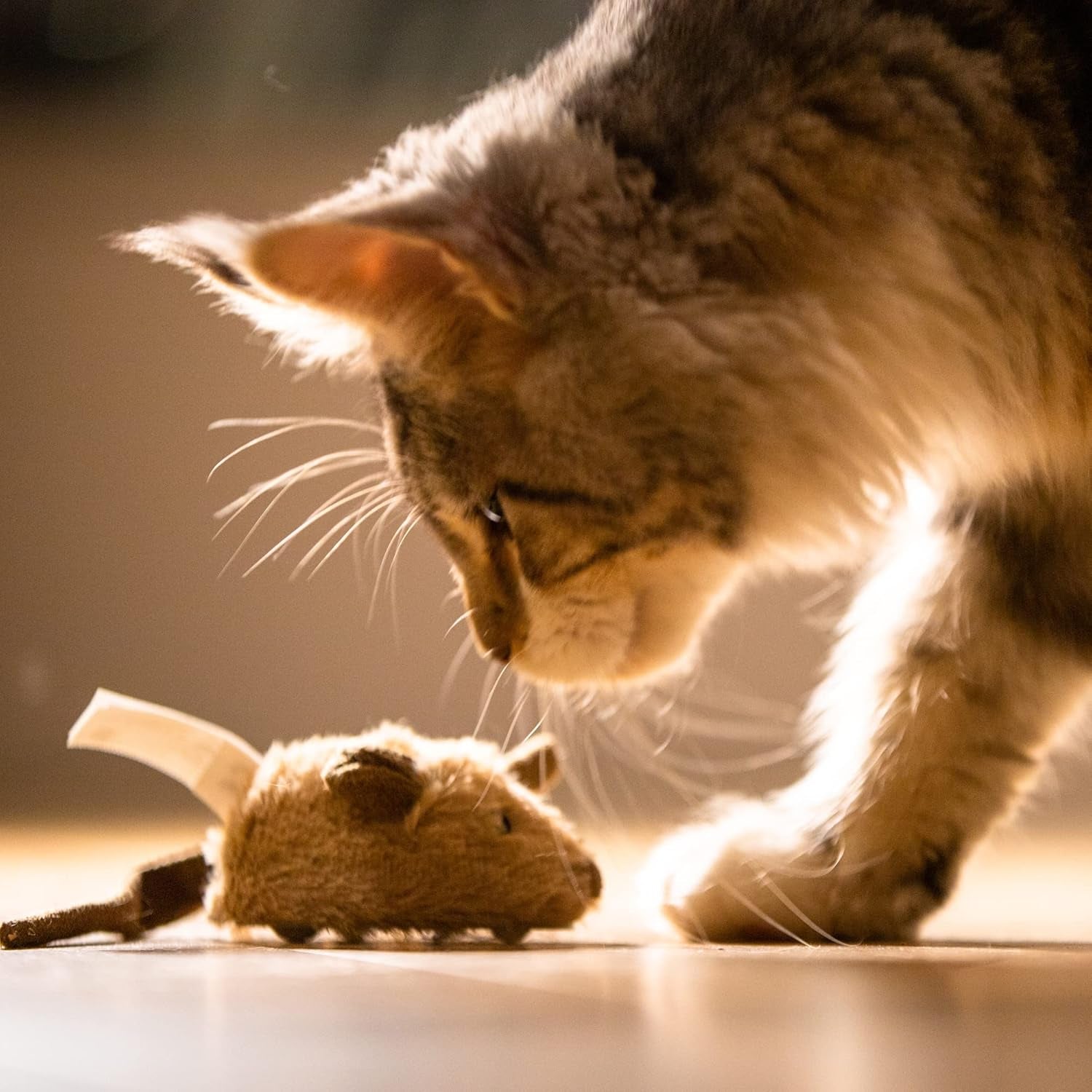 Interactive Automatic Cat Toy with Realistic Sounds - Electric Squeaky Mouse to Enhance Indoor Play and Alleviate Boredom