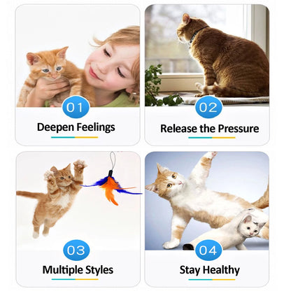 11-Piece Interactive Cat Feather Toy Set with Variety of Feather Refills and Bell Attachments for Kittens and Cats