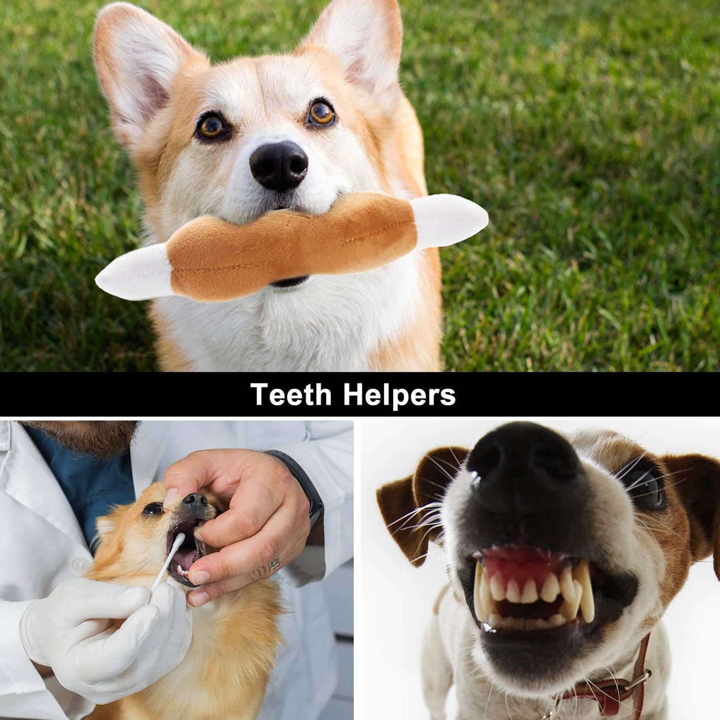 Plush Squeaky Dog Toy Set for Small to Medium Breeds - 12 Pieces with Carrying Bag