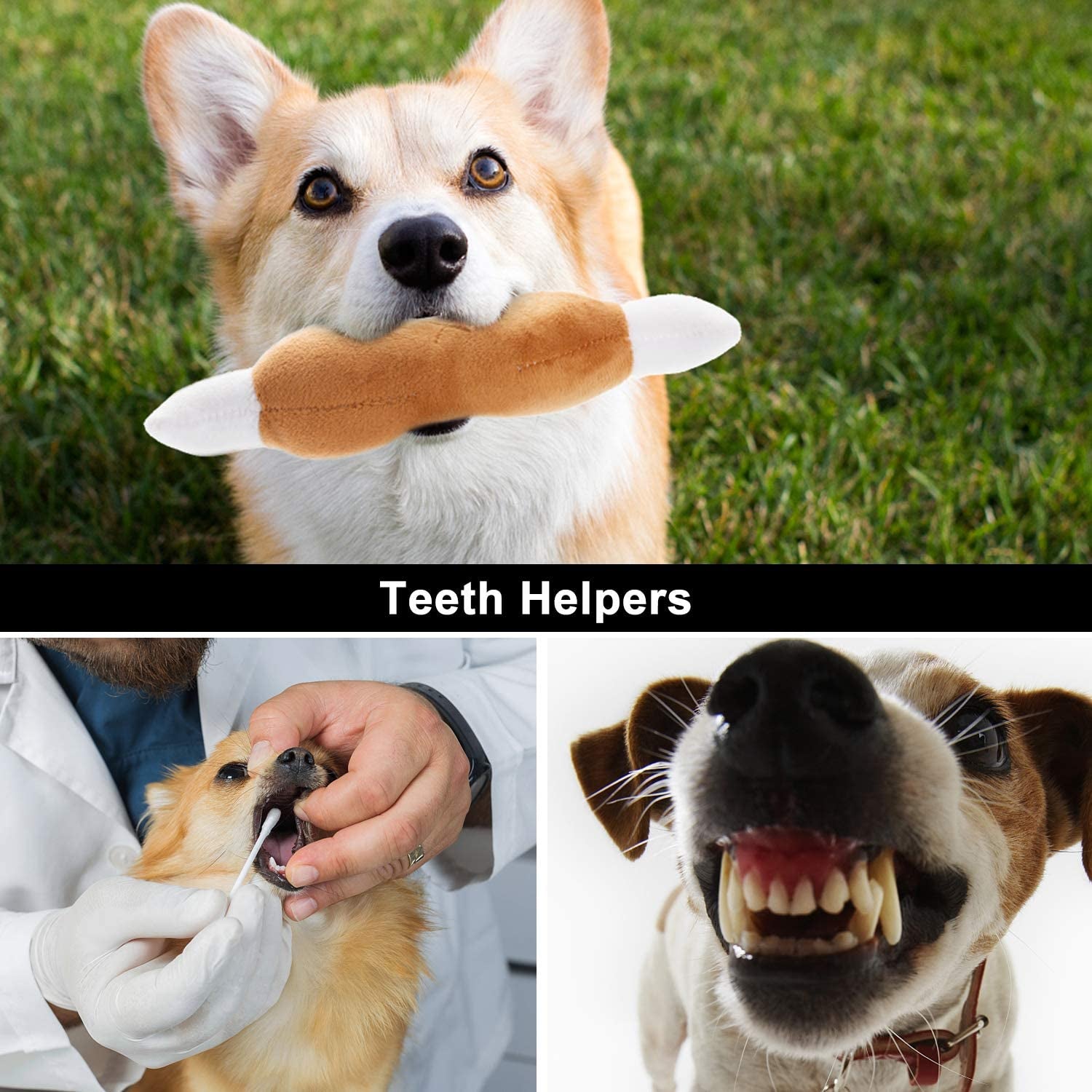 Plush Squeaky Dog Toy Set for Small to Medium Breeds - 12 Pieces with Carrying Bag