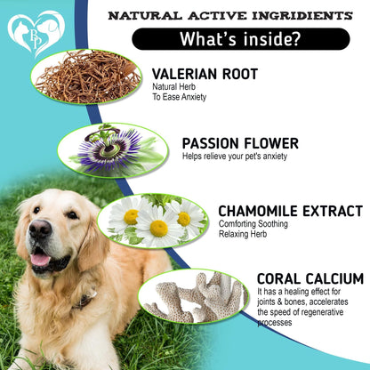 Hemp-Infused Calming Chews for Dogs - Effective Relief for Puppy Separation Anxiety