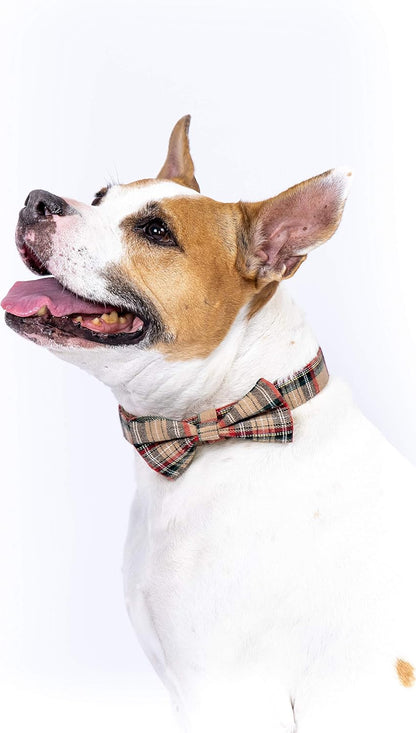 Scottish Tartan Dog Collar and Leash Set with Removable Bow Tie, Adjustable Plaid Design for Dogs, Ideal Pet Gift (XS, Beige)