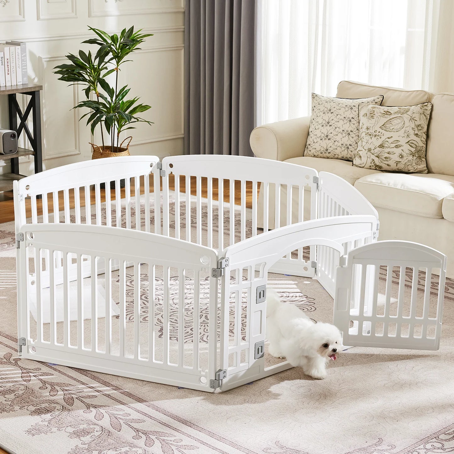 Safe and Reliable Dog Fence