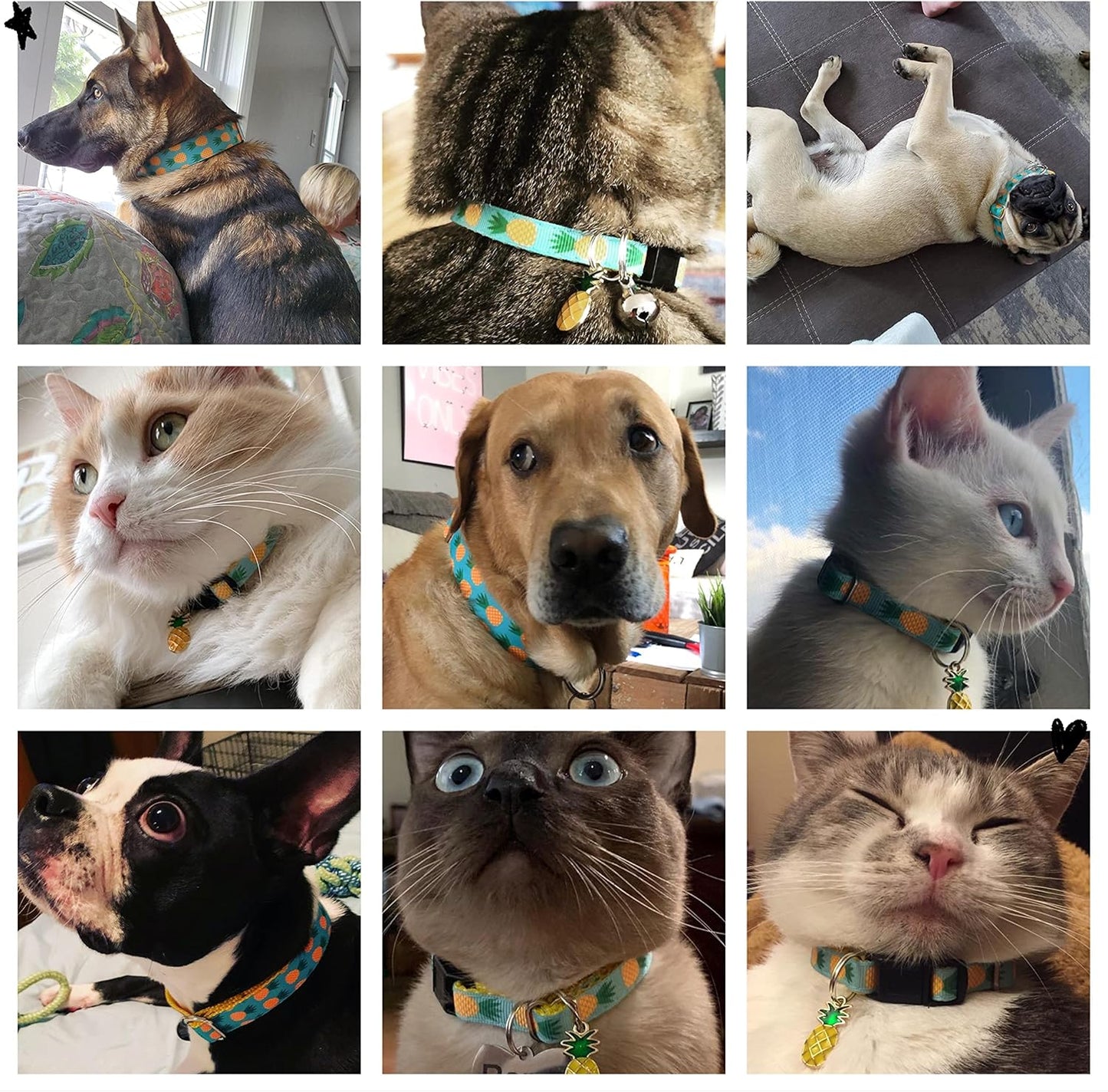 Tropical Pineapple Cat and Dog Collar and Leash Set for Cats, Puppies, and Small to Large Dogs