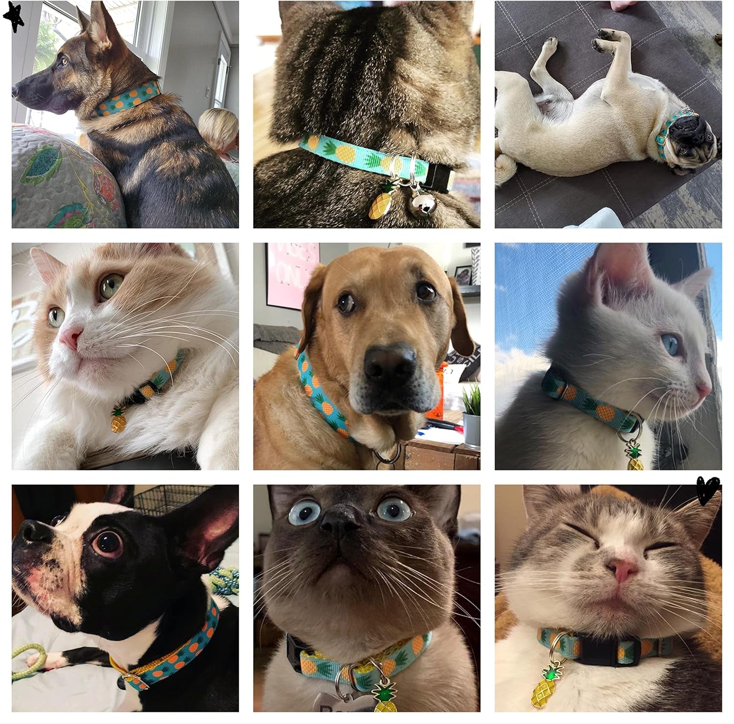 Tropical Pineapple Cat and Dog Collar and Leash Set for Cats, Puppies, and Small to Large Dogs