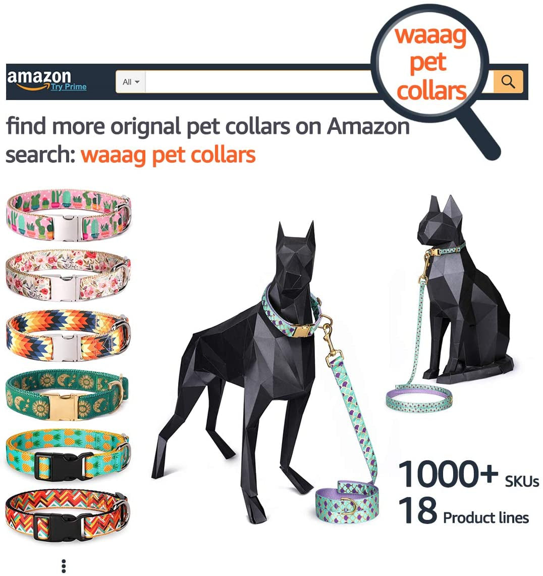 Tropical Pineapple Cat and Dog Collar and Leash Set for Cats, Puppies, and Small to Large Dogs