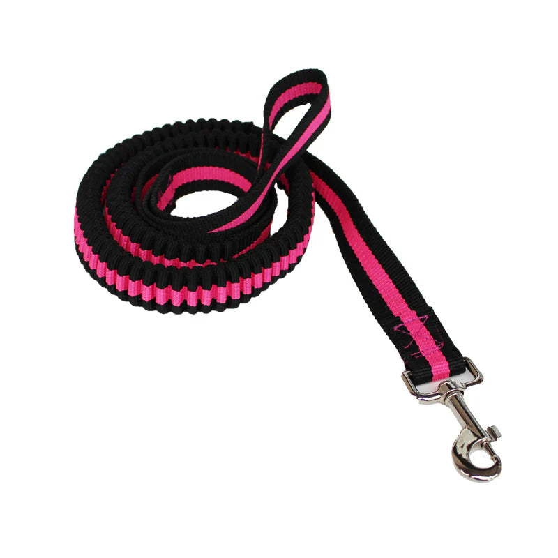 Adjustable Grip Flexible Leash for Small to Medium Dogs