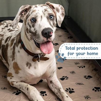 Reusable Dog Training Pads, Washable Waterproof Mats for Potty Training and Whelping, Rounded Corners, 16.5 x 19.5 Inches, Set of 2