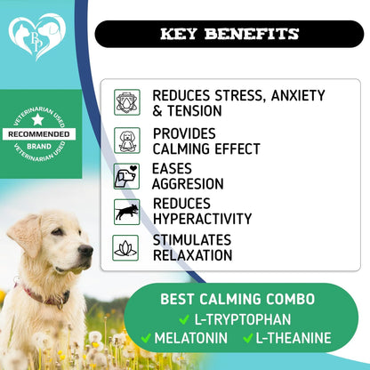 Hemp-Infused Calming Chews for Dogs - Effective Relief for Puppy Separation Anxiety